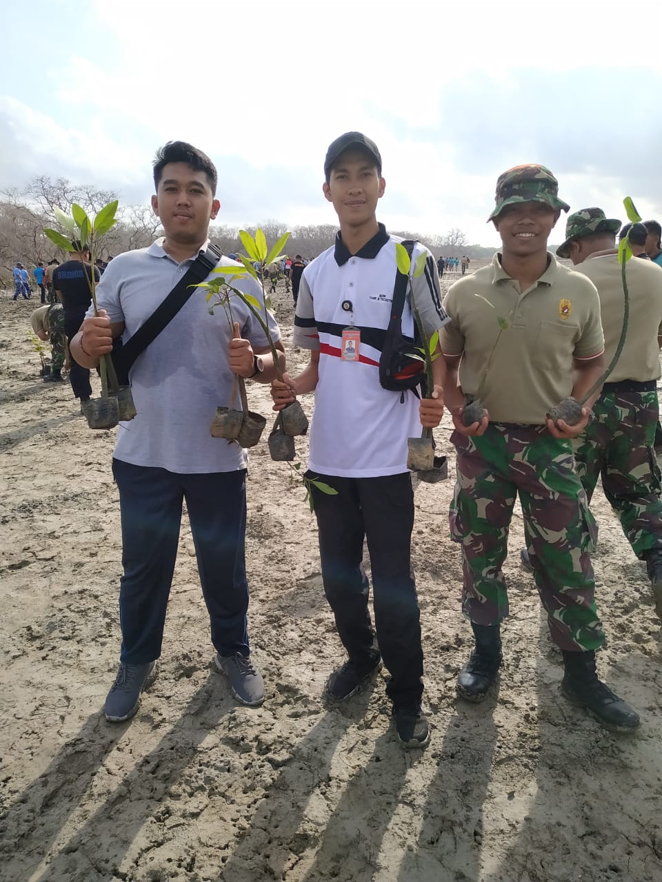 kegiatan penanaman 5000 bibit pohon mangrove di pesisir utara pelabuhan benoa dalam rangka Hut TNI k